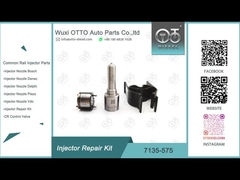 7135-575 28231462 VW 1.2LのノズルL363PRDのためのデルファイ注入器の修理用キット