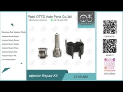 7135-651ノズルL121PBDとのR02201Zのためのデルファイ注入器の修理用キット