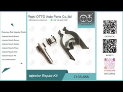 7135-656ノズルL135PBDとのR00504Zのためのデルファイ注入器の修理用キット