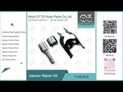 7135-815 デルフィス注射器の修理キット