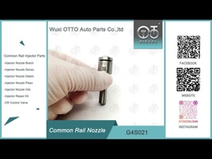 G4S021 Densoの注入器295050-0290/33800-4A950のための共通の柵のノズル