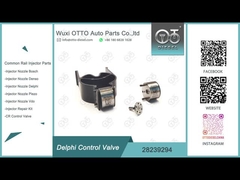 28239294 Delphi インジェクター EJBR02401Z/02901D などの Delphi インジェクター コントロール バルブ