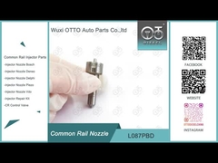 L087PBD デルフィー・コモン・レール注射器用ノズル EJBR01401Z / EJBR01701Z