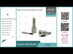 E429 デルフィー・コモン・レール・ノズル