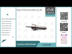 L252PRD デルフィー・コモン・レール・ノズル・フォー・インジェクター EJBR05001D