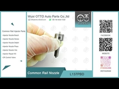 L137PBD デルフィー・コモン・レール・ノズル・フォー・インジェクター EJBR02401Z / 02901D