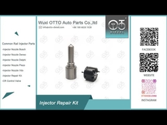 デルフィー注射器修理キット 7135-816 噴嘴・バルブキット 噴嘴・CVAキット