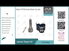 デルフィインジェクタルの修理キット R04701D