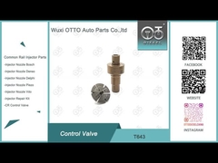 T643 コモン・レール制御バルブ 適用された 0445110819/818/939