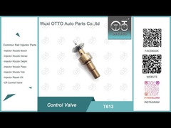 T613 ボッシュ コモンレール コントロールバルブ 適用 0445110551