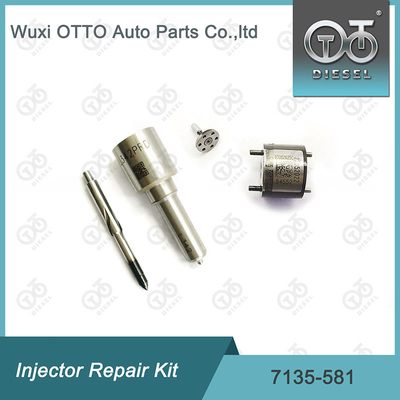 R00101D PSA / FORD DW10C ノズル・バルブキットのためのノズル-CVAキット 7135-581 デルフィー注入器修理キット