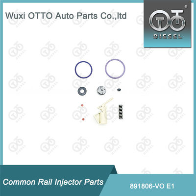 一般鉄道用燃料注入器の修理キット 891806-Vo E1 プラグ付きE1注入器用