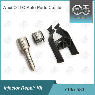 R00101D PSA / FORD DW10C ノズル・バルブキットのためのノズル-CVAキット 7135-581 デルフィー注入器修理キット